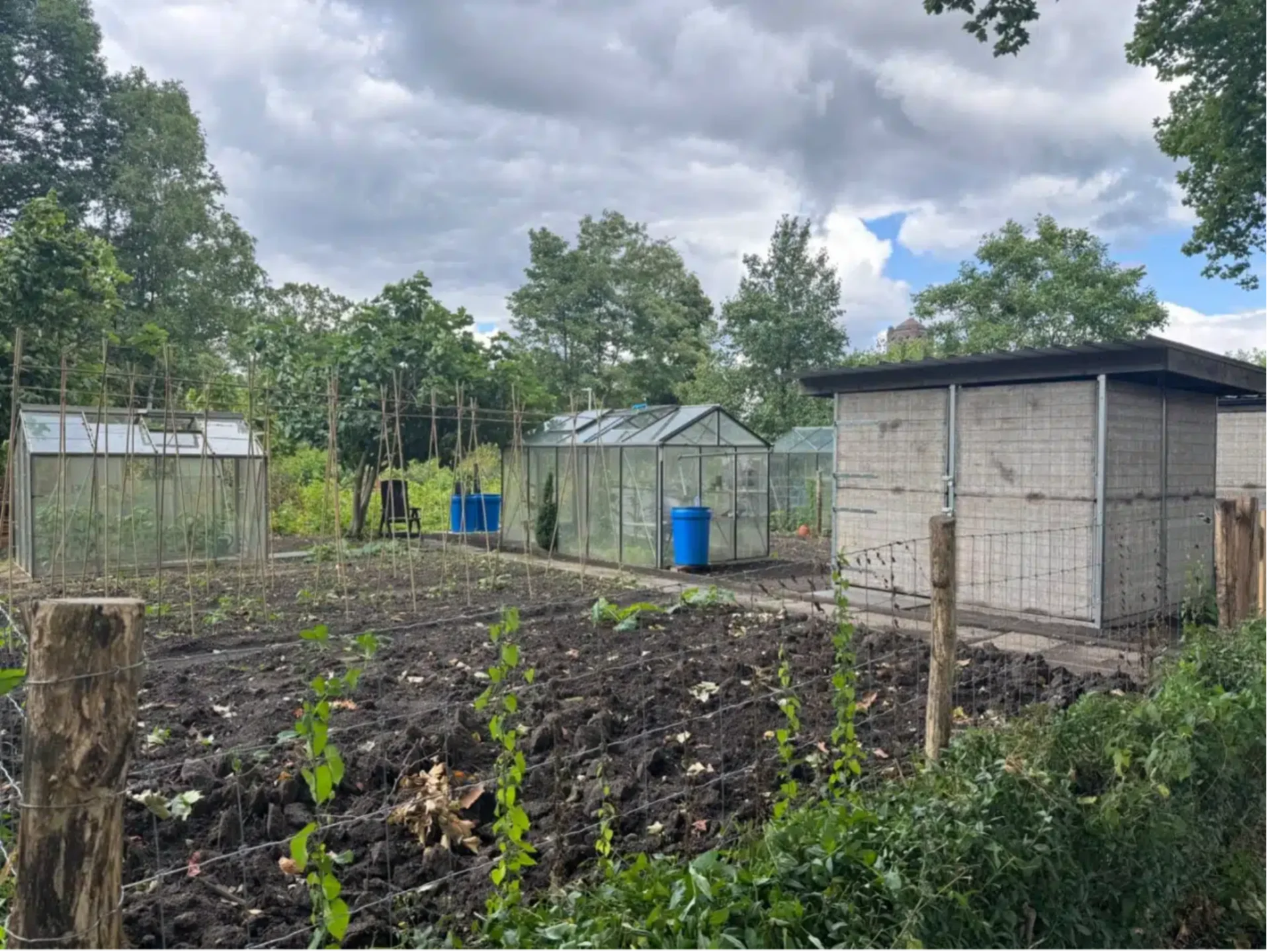 Decking Project Example 4